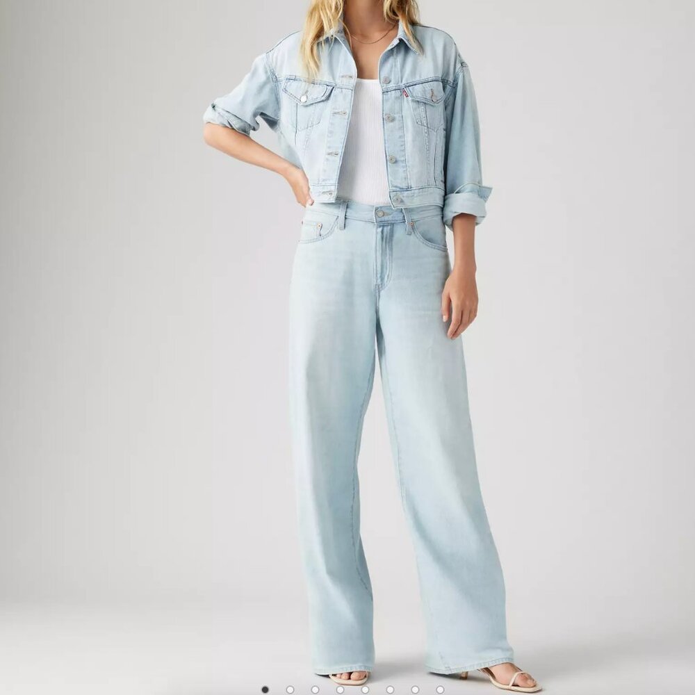 Levi's Premium Size 28 Baggy Straight Linen + Denim Women's Jeans